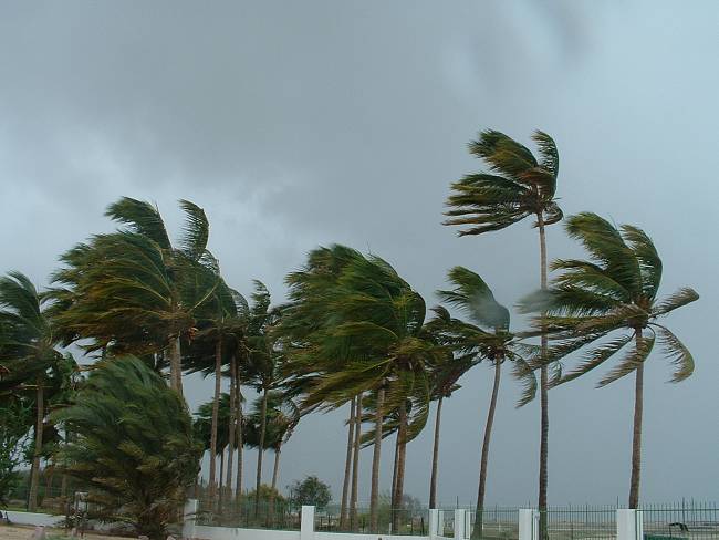 Click image for larger version





Name:	Hurricane Ignacio 8-24-03 (21).jpg


Views:	62


Size:	632.4 KB


ID:	120