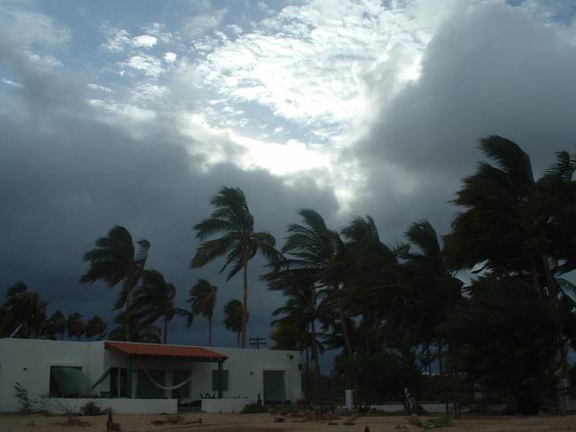 Click image for larger version





Name:	Hurricane Ignacio 8-24-03 (42).jpg


Views:	54


Size:	613.6 KB


ID:	121
