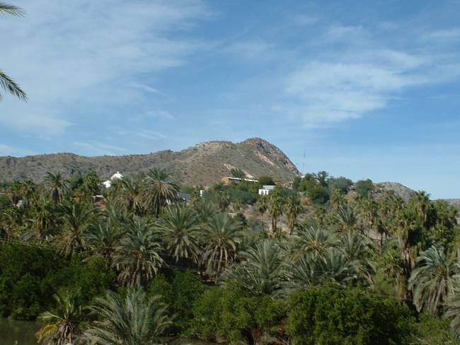 Click image for larger version





Name:	Mulege (1).jpg


Views:	70


Size:	639.6 KB


ID:	192